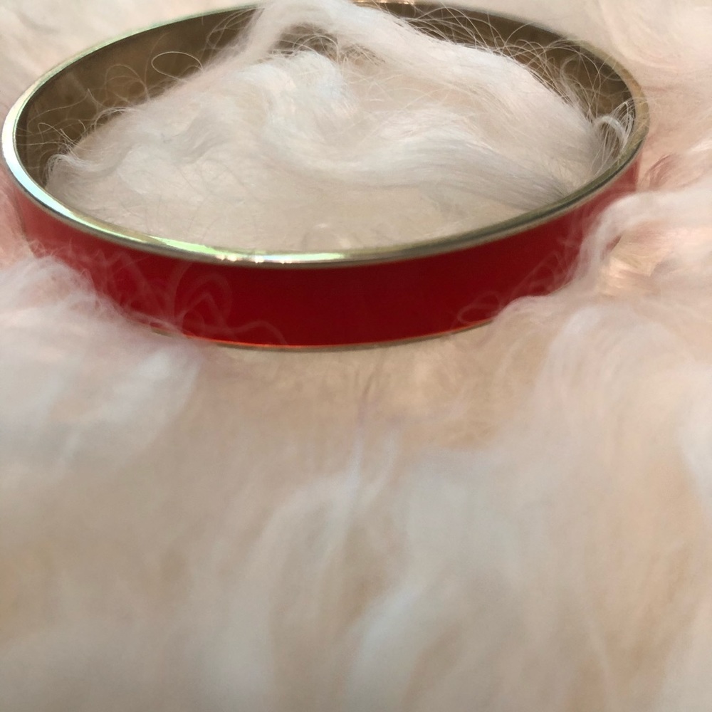 Beautiful Bangle